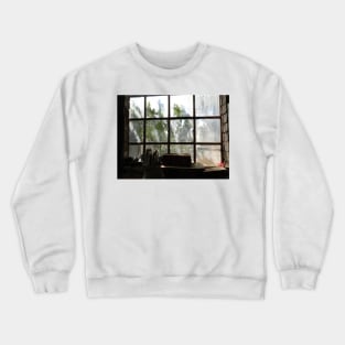 Aleko's Window Crewneck Sweatshirt